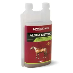 Algua Detox Paskacheval
