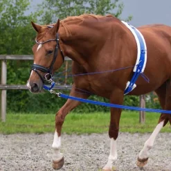 Alliance de Longe QHP