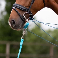 Alliance de Longe QHP