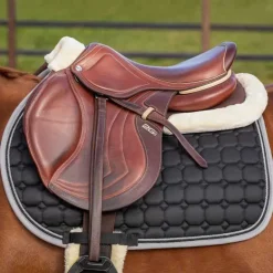 Amortisseur à mémoire de forme Ontario