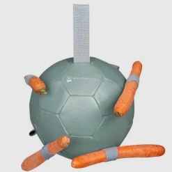 Balle à Carottes Waldhausen