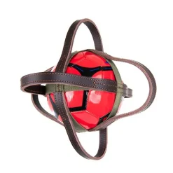 Ballon de horse-ball Canter