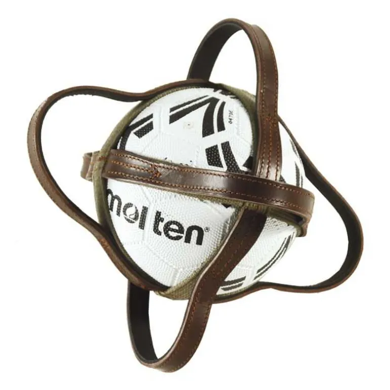 Ballon de horse-ball Canter