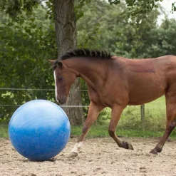 Ballon de jeu pour chevaux QHP