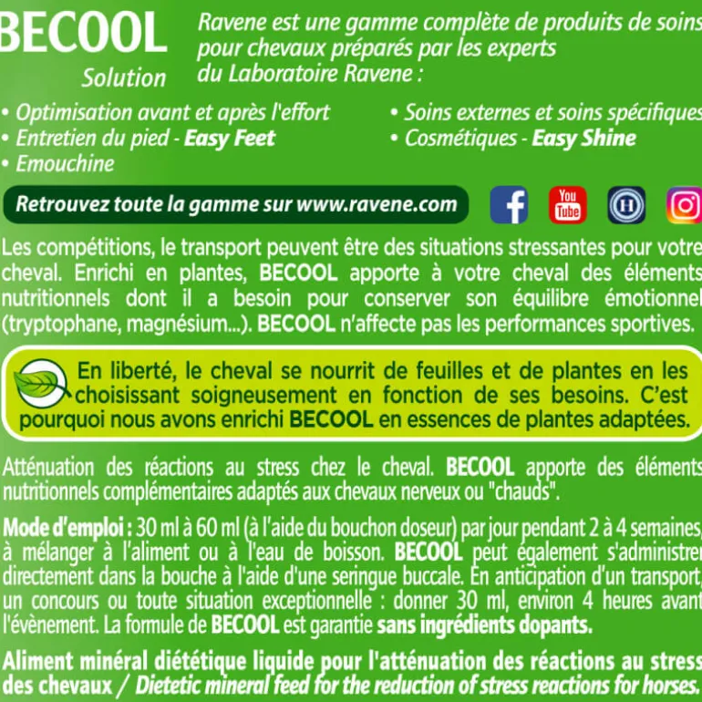 Becool anti-stress Ravene