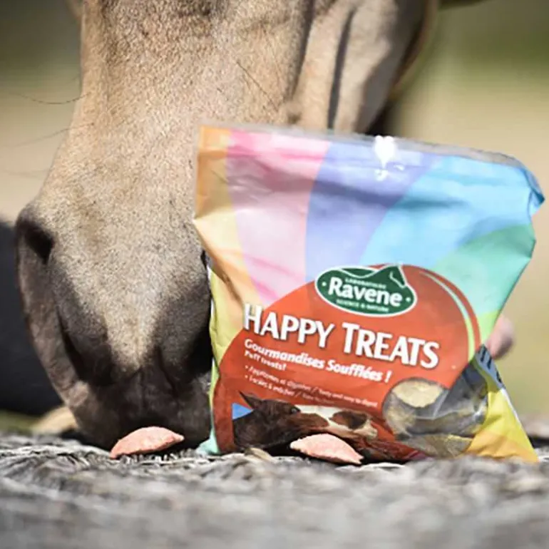 Bonbons Happy Treats Duo Ravene