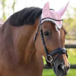 Bonnet anti-mouche Color Q-Essentials