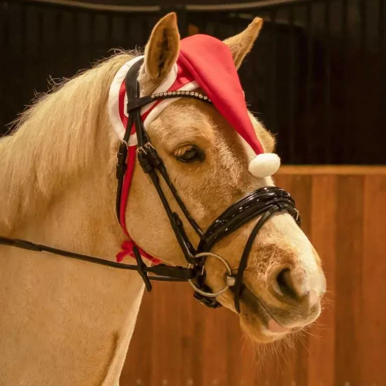 Bonnet de Noël Cheval QHP