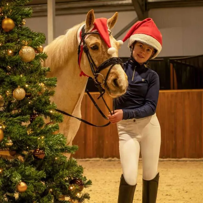 Bonnet de Noël Cheval QHP