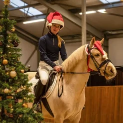 Bonnet de Noël Cheval QHP