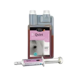 B-Quiet flacon 1 litre Horse Master