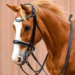 Bride Elégance Stationata