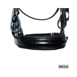 Bride en cuir Horse and Go