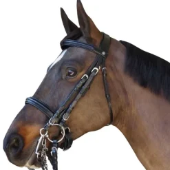 Bride pull-back Euro CANTER