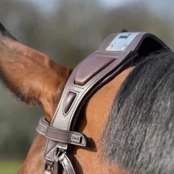 Bridon à pont Chagall T de T