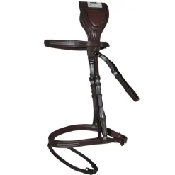 Bridon à pont Chagall T de T