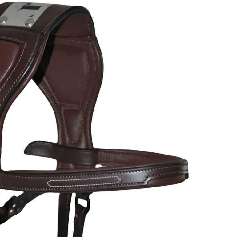 Bridon à pont Chagall T de T