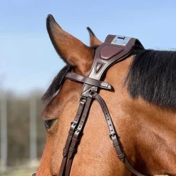 Bridon à pont Chagall T de T