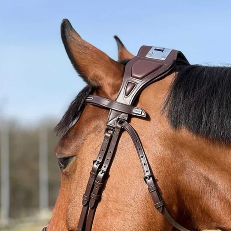 Bridon à pont Chagall T de T