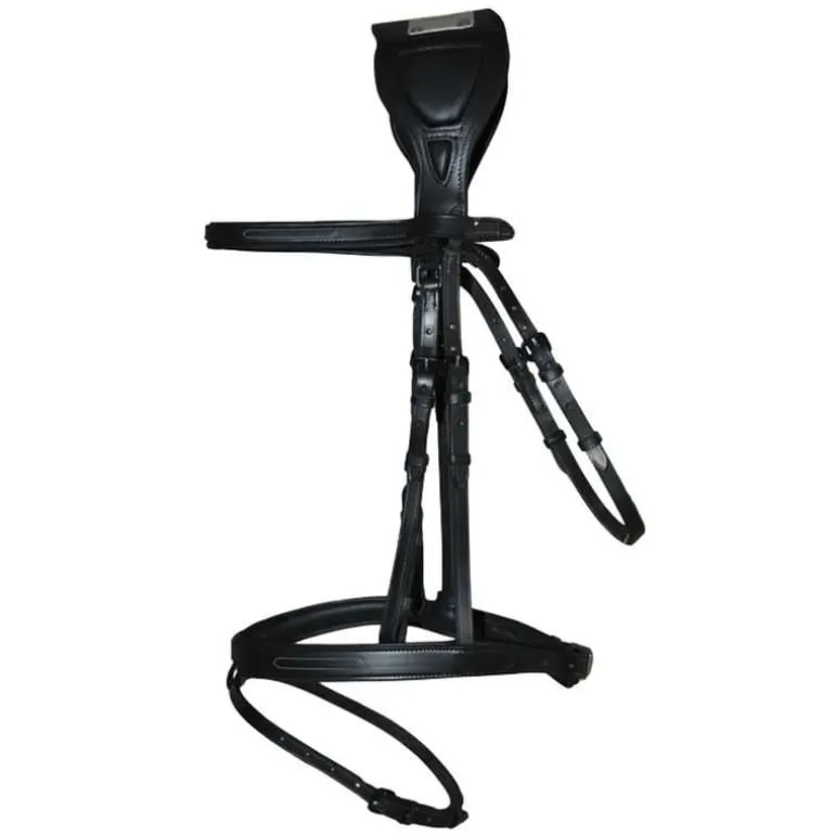 Bridon à pont Chagall T de T