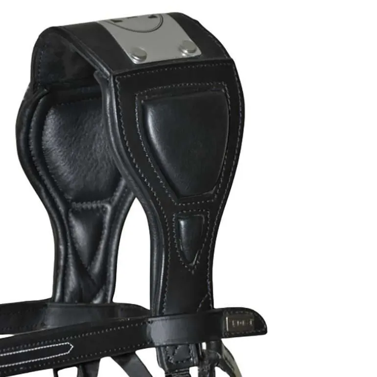 Bridon à pont Chagall T de T