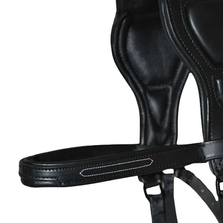 Bridon à pont Chagall T de T