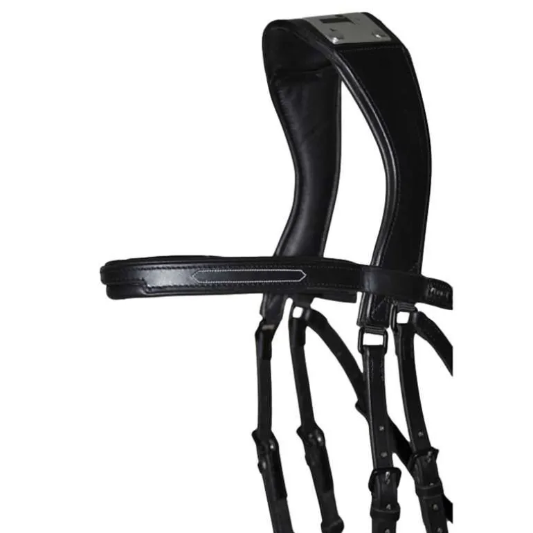 Bridon à pont Manet T de T