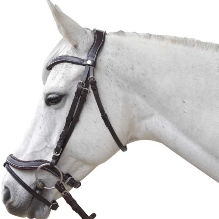 Bridon Baloubet CANTER