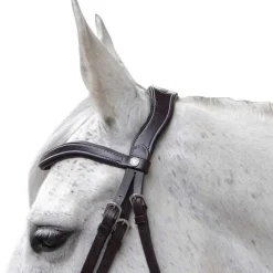 Bridon Baloubet CANTER