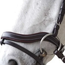 Bridon Baloubet CANTER