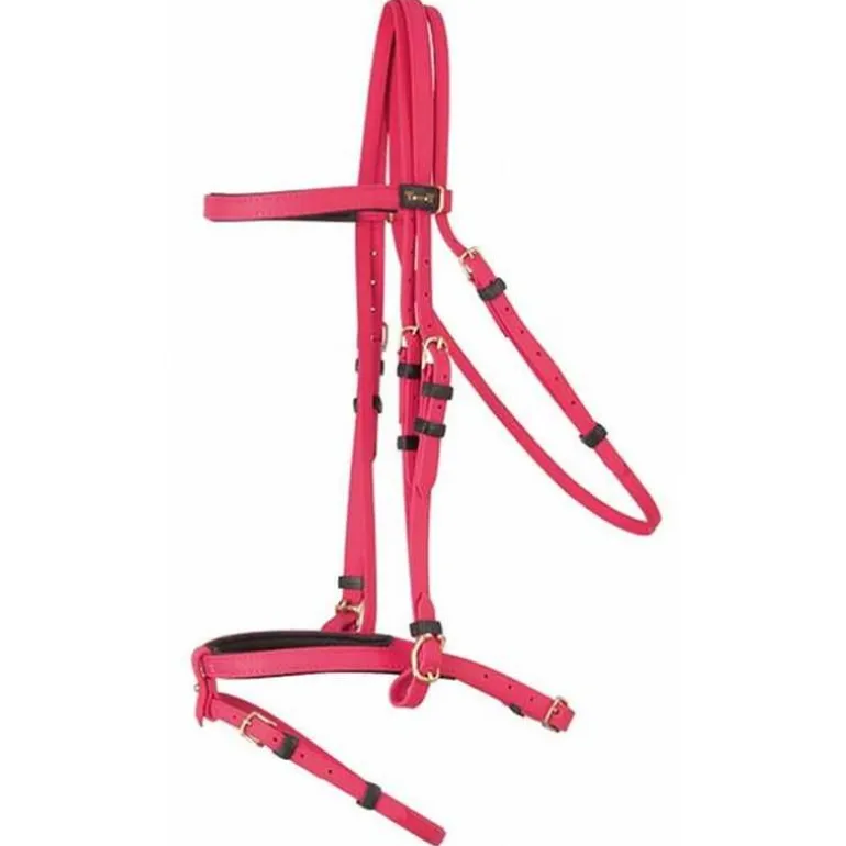 Bridon Biotack T de T