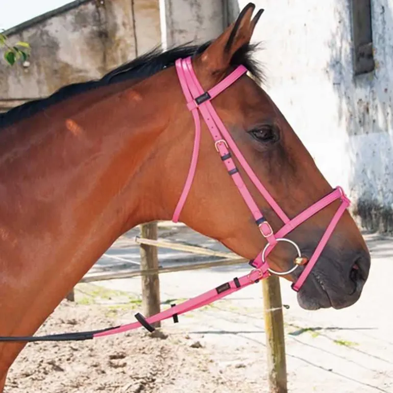 Bridon Biotack T de T