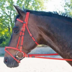 Bridon Biotack T de T