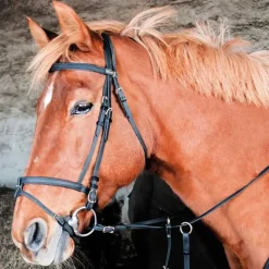 Bridon Biotack T de T