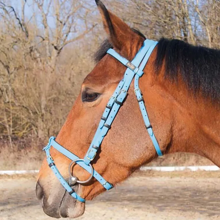 Bridon Biotack T de T