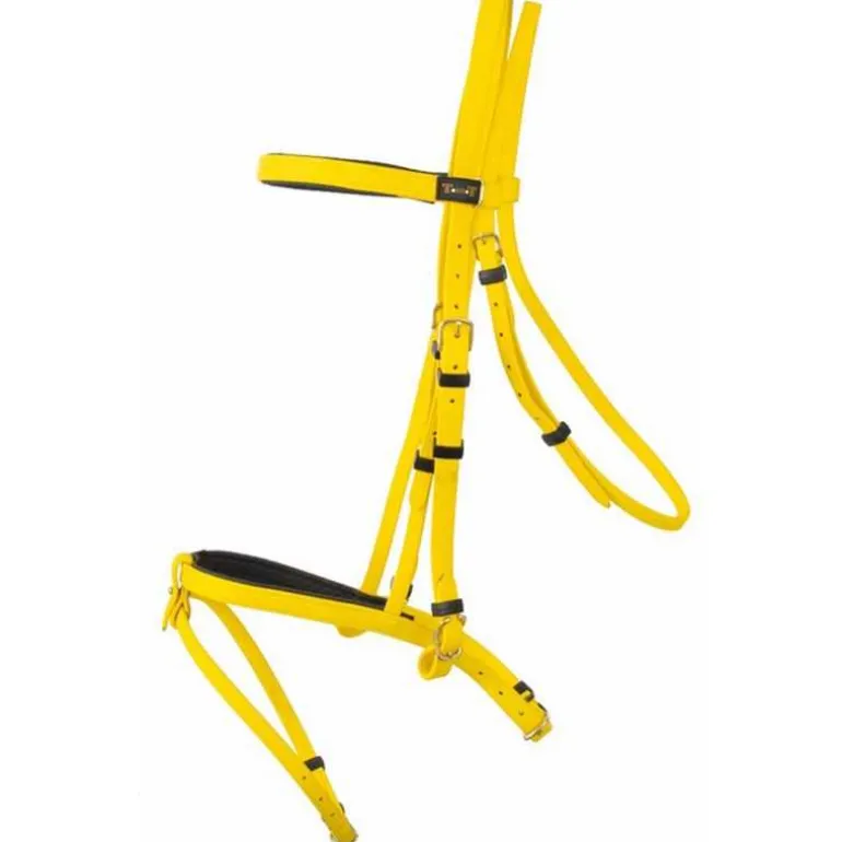 Bridon Biotack T de T