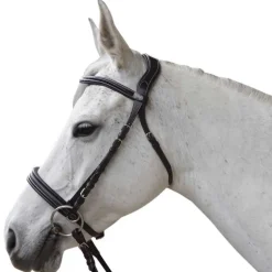 Bridon Bitless Evolution Canter