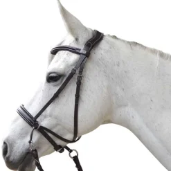 Bridon Bitless Evolution Canter