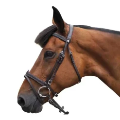 Bridon Canter Black strass