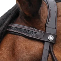 Bridon Canter Black strass