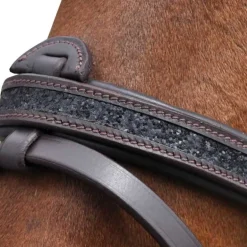 Bridon Canter Black strass