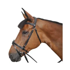 Bridon Canter rose gold