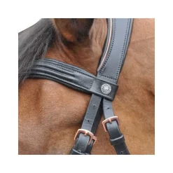 Bridon Canter rose gold