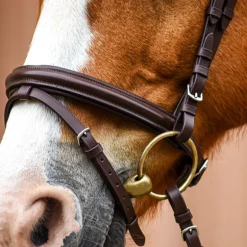 Bridon combiné frontal Strass Stationata
