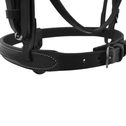 Bridon Combiné Stationata