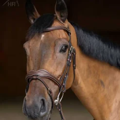 Bridon combiné Wavy HFI Master