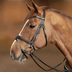 Bridon combiné Wavy HFI Master