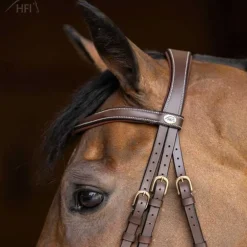 Bridon combiné Wavy HFI Master