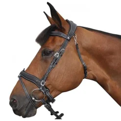 Bridon Comfort Flags&Cup