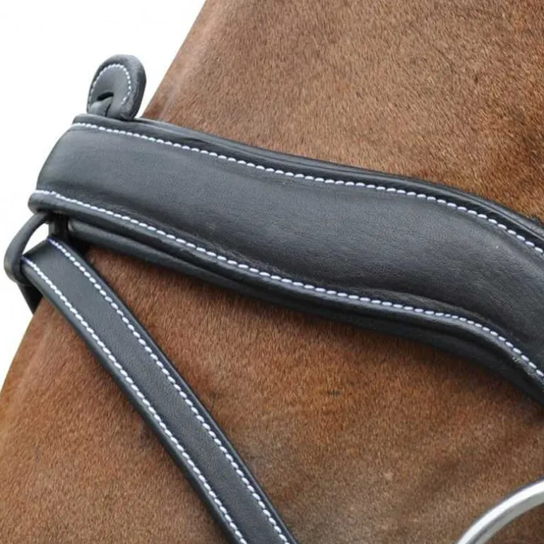 Bridon Comfort Flags&Cup